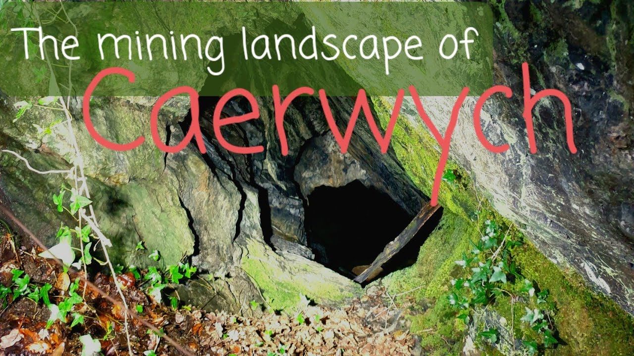 Mining landscape lost in the woods of Caerwych
