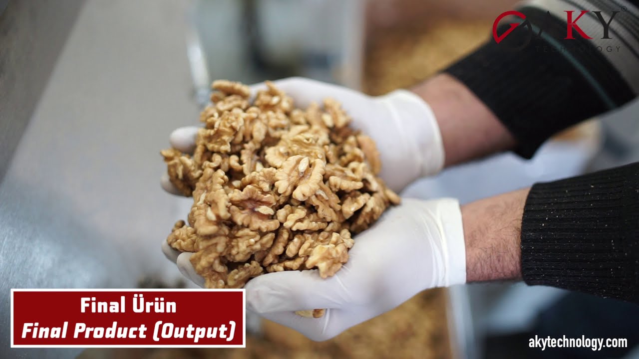 Walnut Cracking (Shelling) Line - AKY Technology