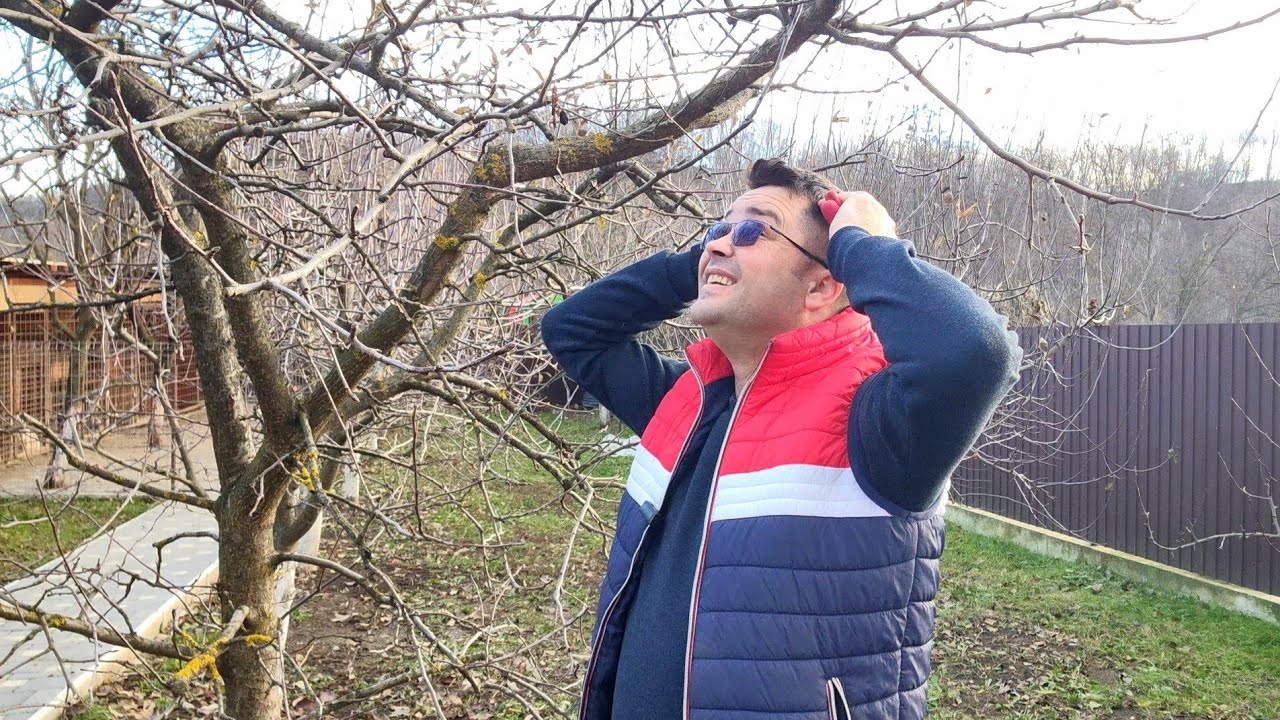 Ce se întâmplă dacă tai greșit un pom!