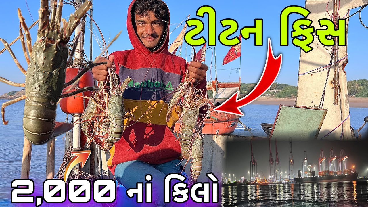 ટીટન ફિસ 🦞🦞ll 2,000 રૂપિયા નાં કિલો ~ સયાંળ બેટ ગયાં સીપુ જોવા મળી 