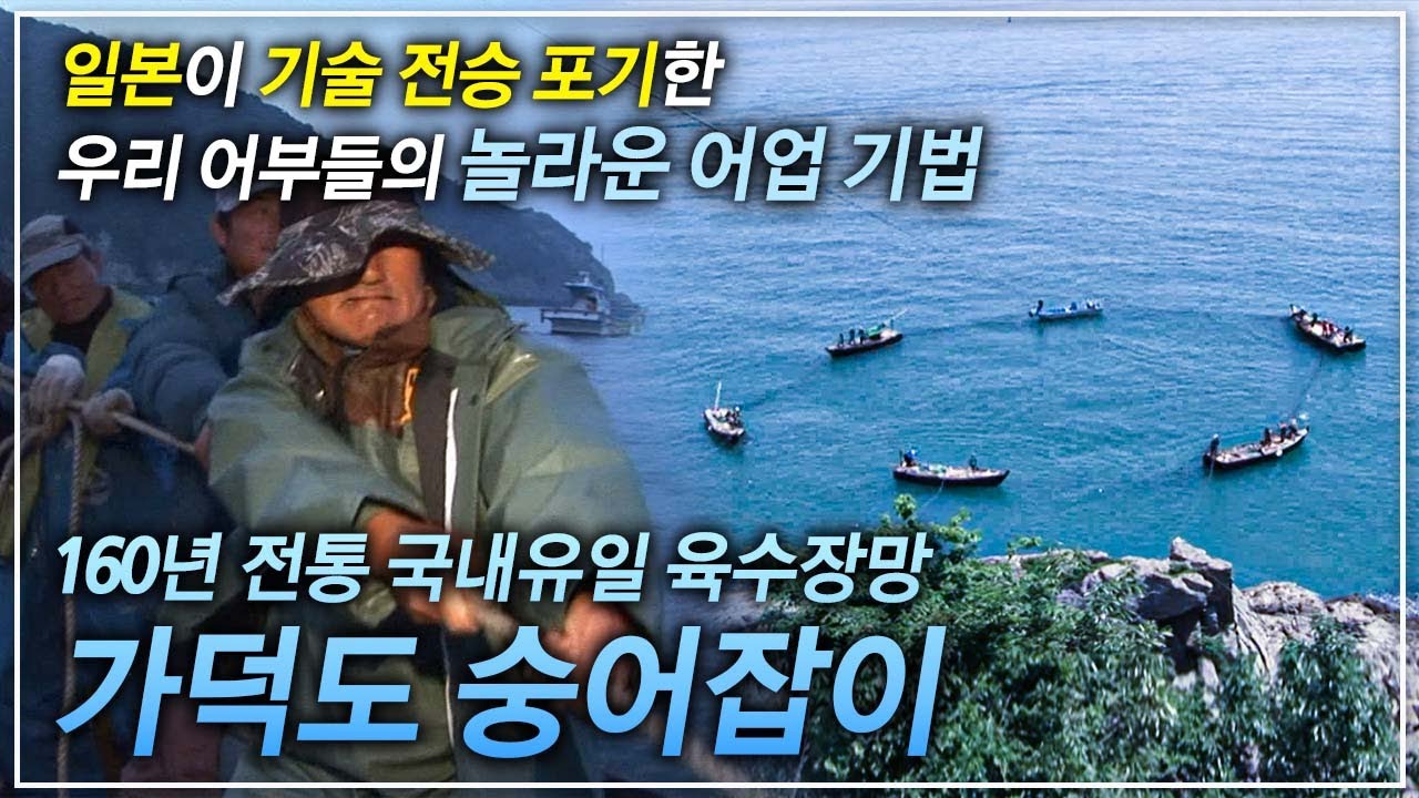 수 천 마리 물고기 떼를 잡는데 주어진 시간 단 15초, 아무나 따라 할 수 없는 놀라운 어업 방식으로 전통을 이어가는 사람들│가덕도 전통 숭어잡이│극한직업│