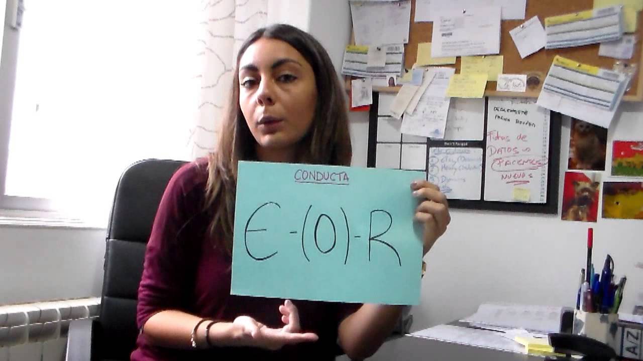 ¿Qué es la conducta?