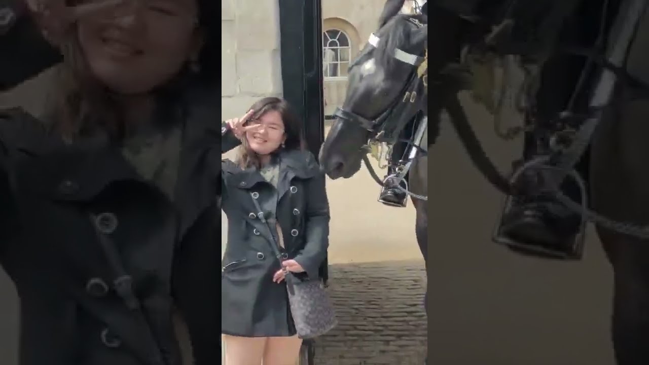 Four moments Tourist's messed with the wrong Kings guards #horseguardsparade