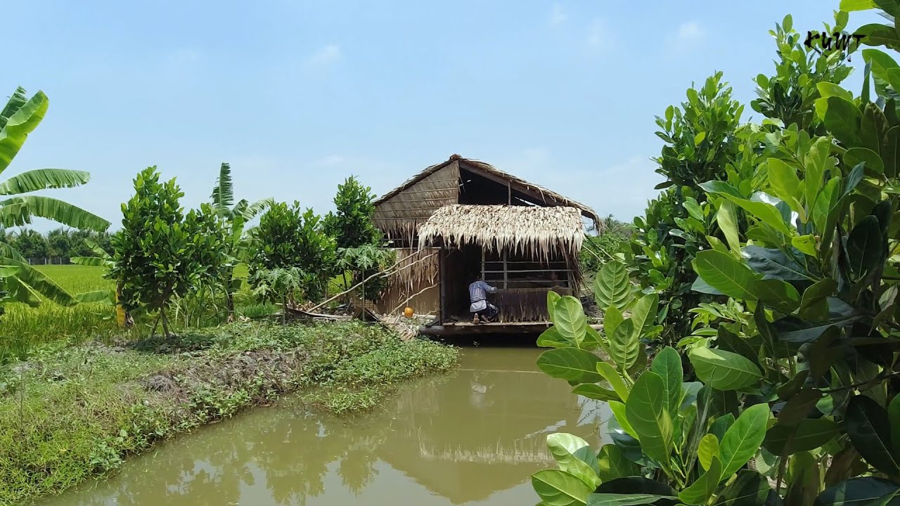 Người Miền Tây Cất Nhà Lá thế nào ? Tiếp theo.