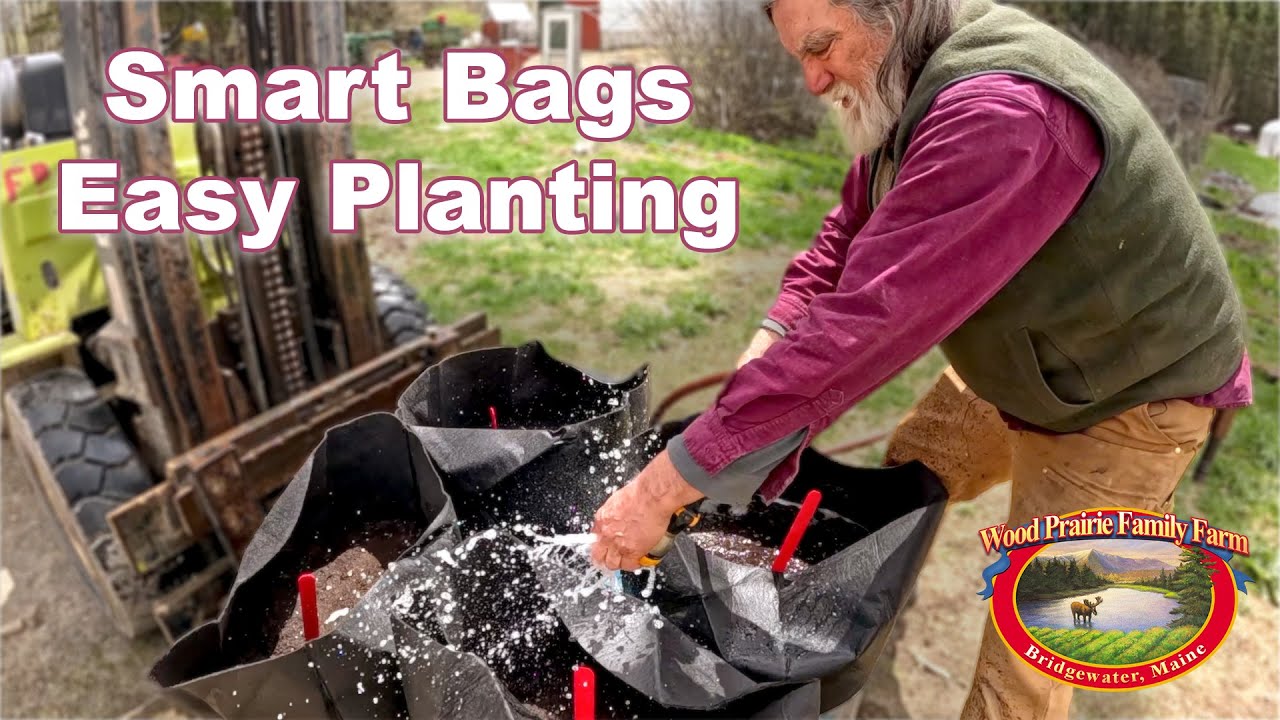 Easy Way To Plant Organic Potatoes in Containers