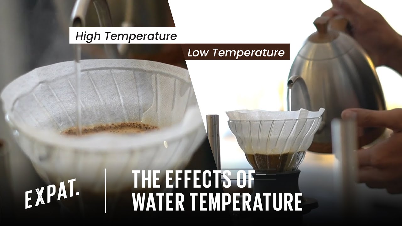 The Effects of Water Temperature on V60 Brewing - Expat. Roasters