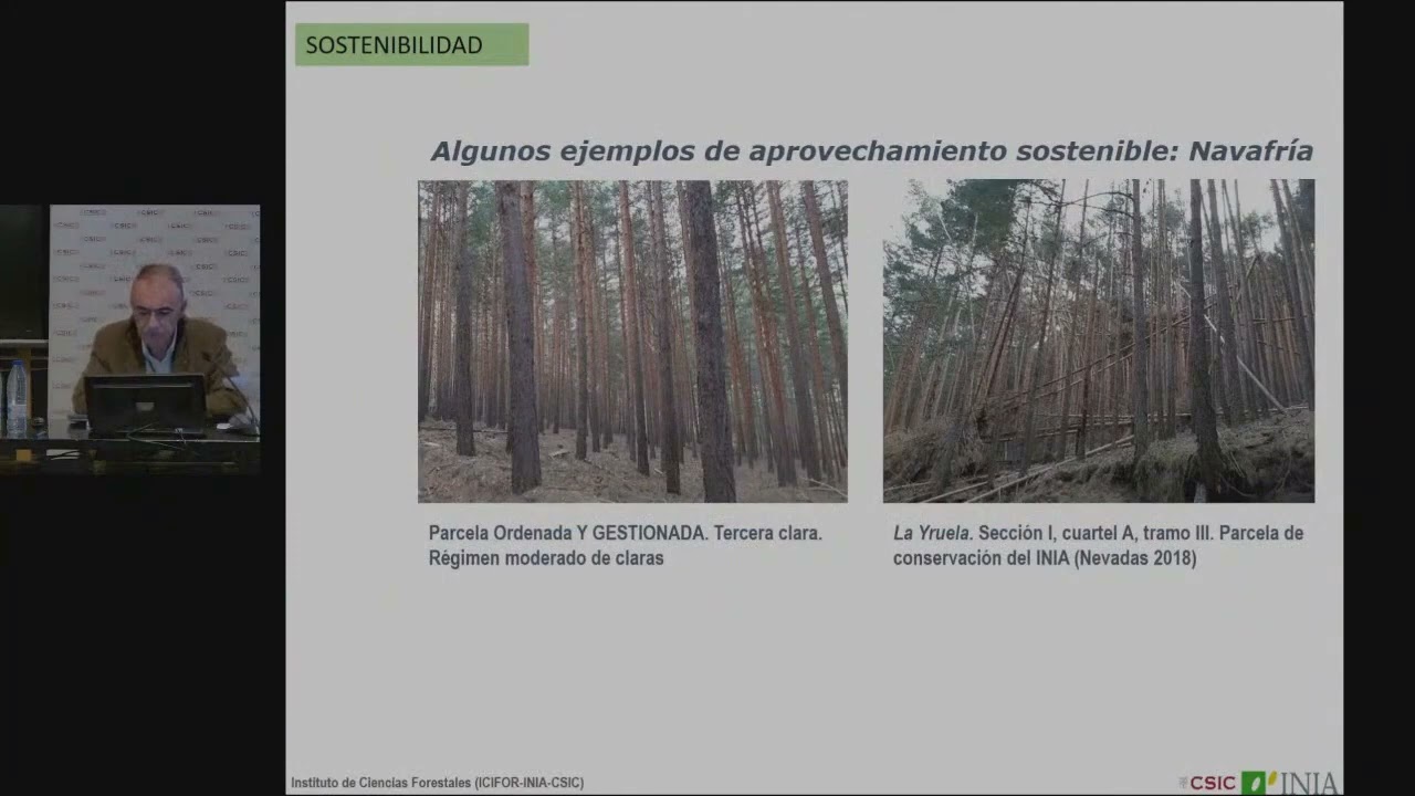 Valores ambientales de la madera (LINCGLOBAL)