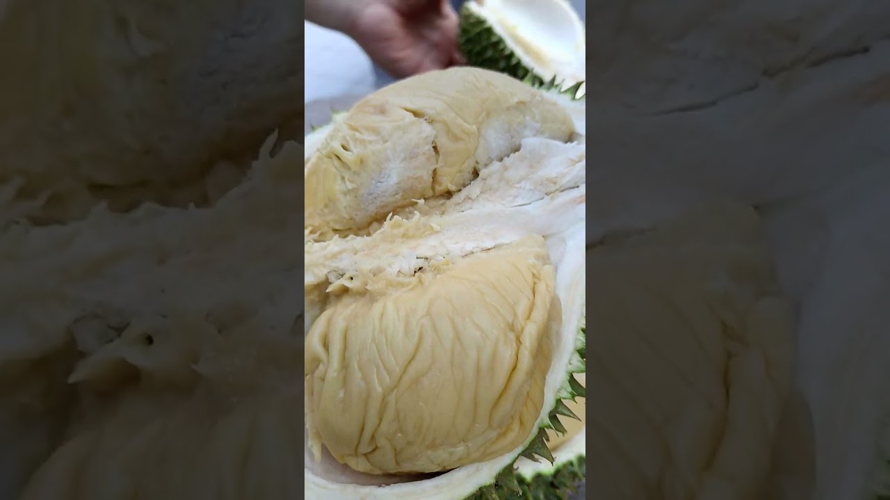 DURIAN D196 11JUL24 (the Ori)