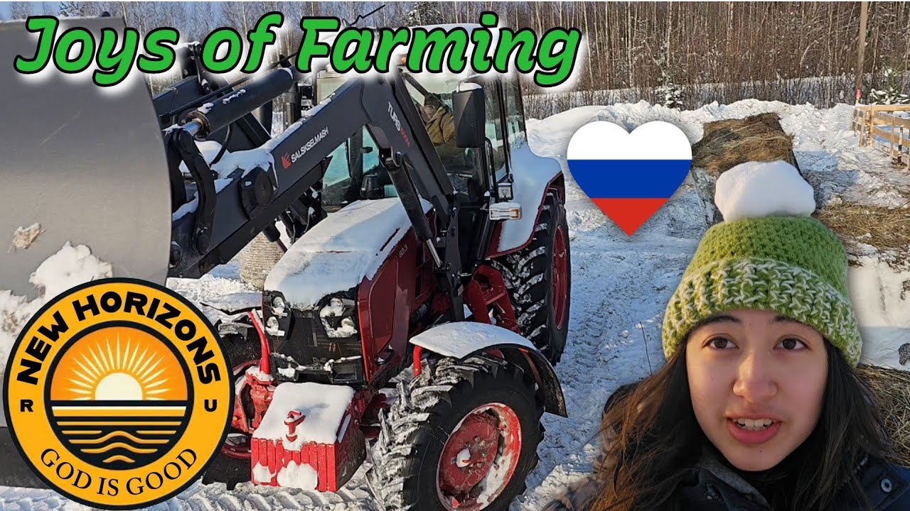 Joys of Farming 🚜 🐑 Playing in the Snow ❄️ Farming in RUSSIA 🇷🇺 ❤️ 