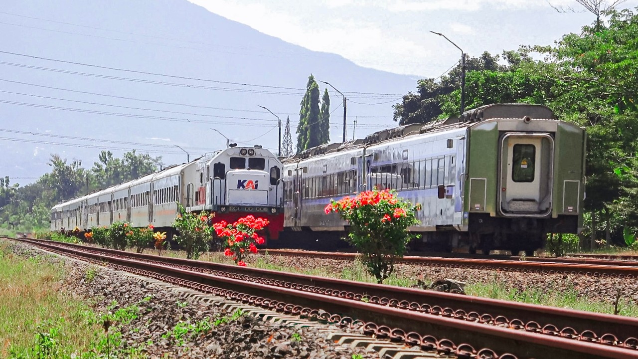 KERETA API PANJANG‼️ MENEMUKAN 23 KERETA API PAPASAN DI JEMBATAN DAN TEROWONGAN