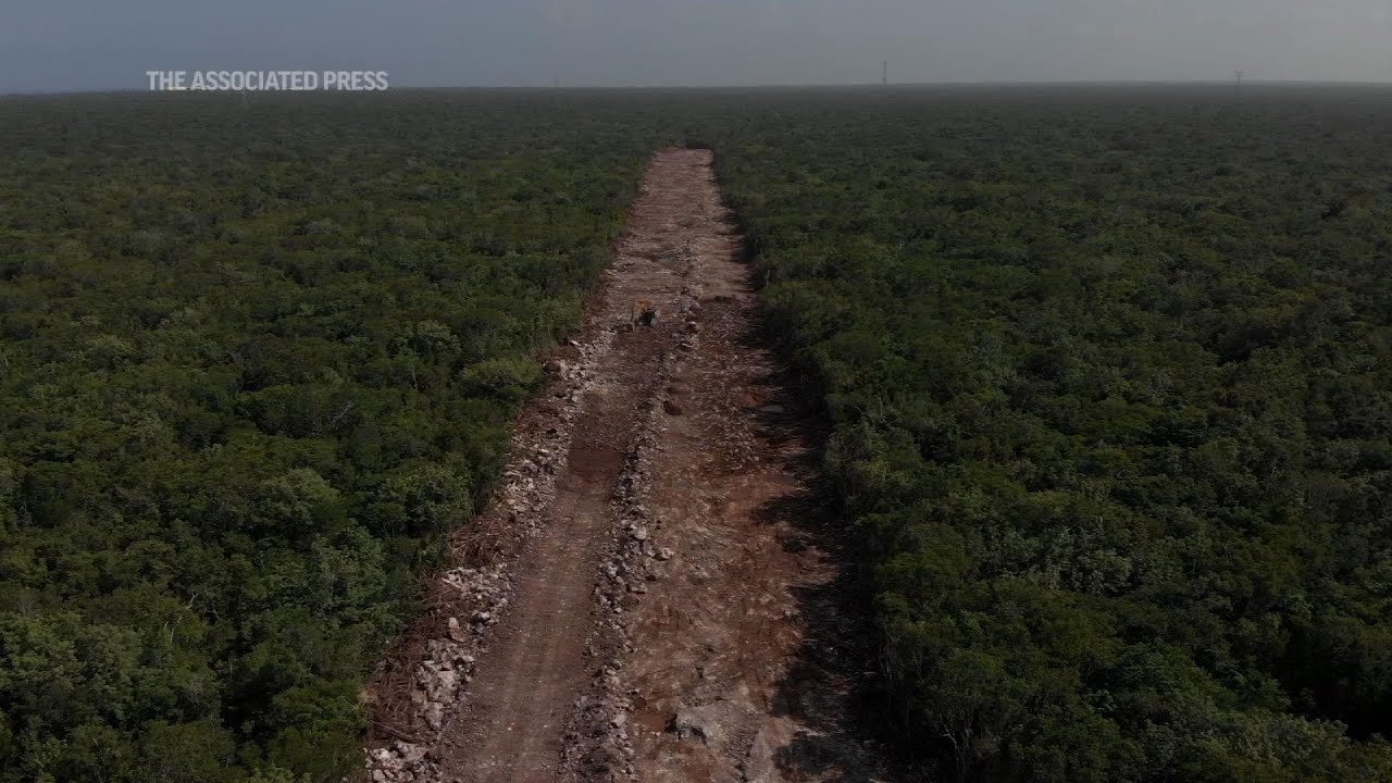 Mexican train project endangers environment