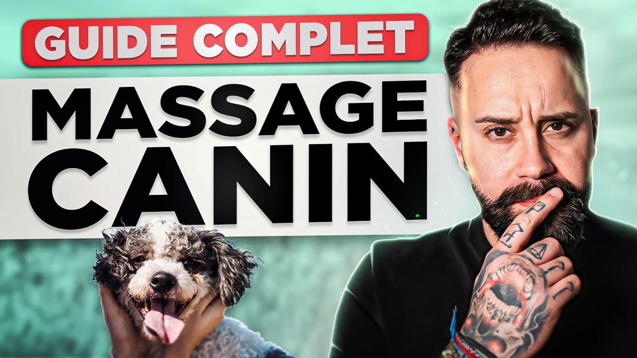 Tout savoir sur le massage canin : ÉTAPE PAR ÉTAPE