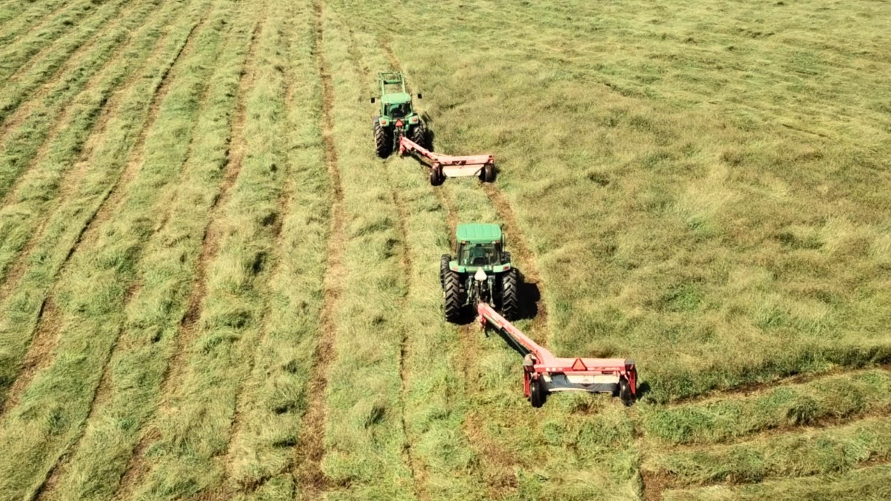 We Are Finally Back In The Hay Field! | Cutting Hay 2025