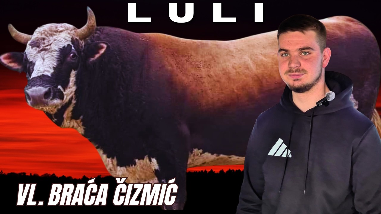 Trener Lulija upozorava Zebu: Vrijeme je da se kaiš stegne!