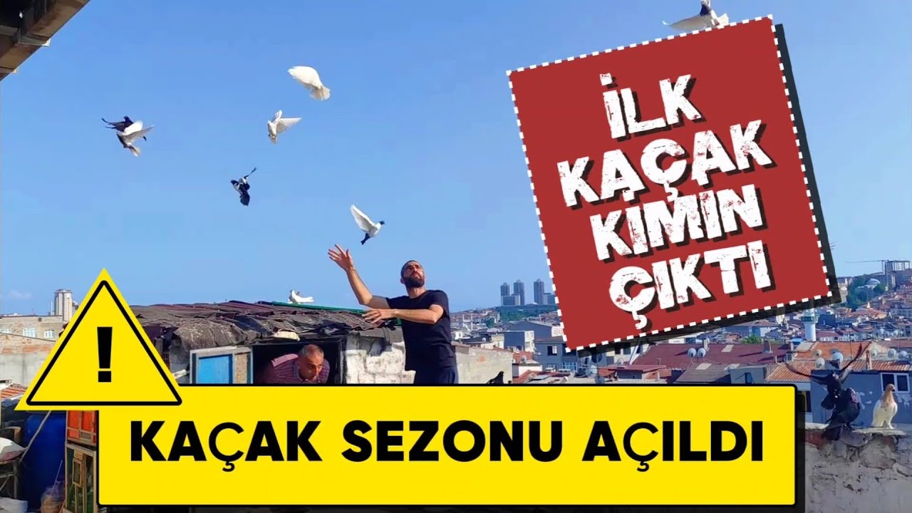 SEZON A&Ccedil;ILDI İLK KA&Ccedil;AK KİMİN KUŞU &Ccedil;IKTI