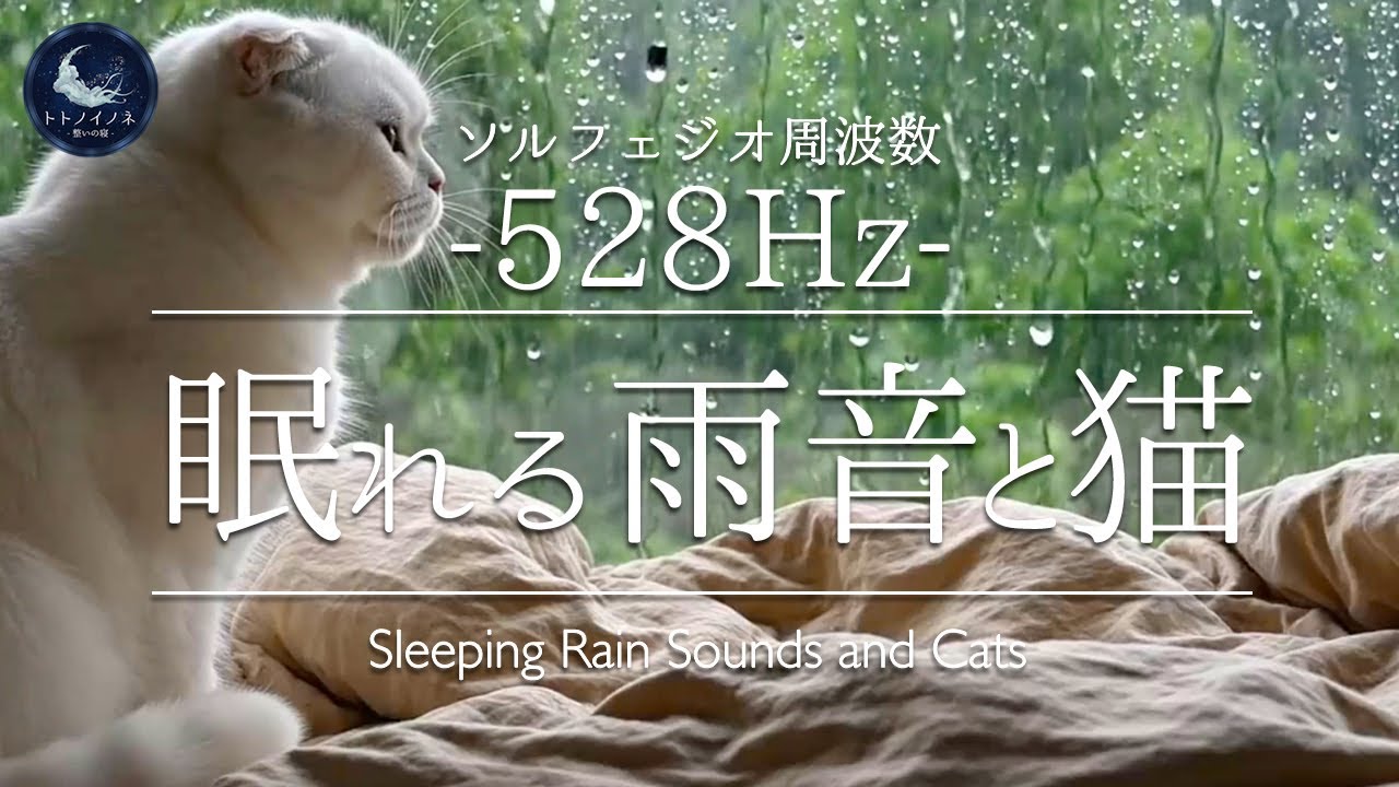 【528Hz】雨の日の窓辺で待つ猫と心地よい雨音｜睡眠・リラックスBGM｜途中広告なし
