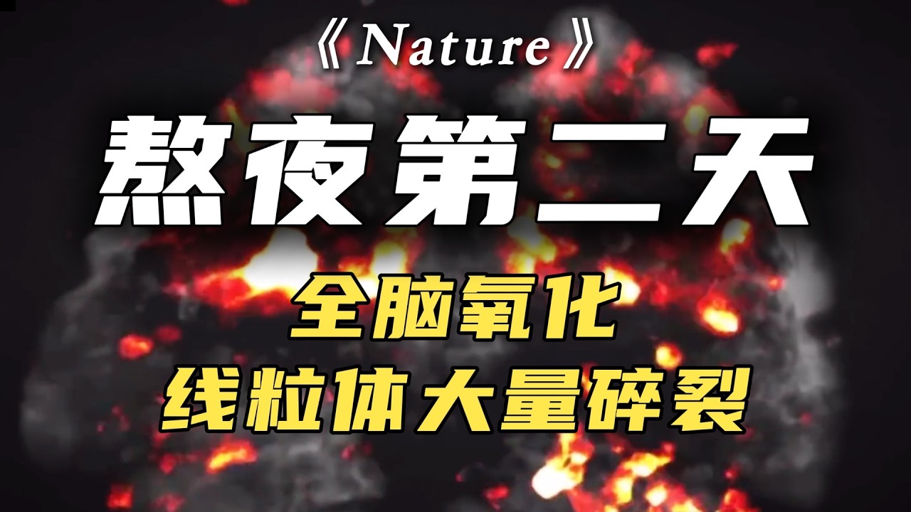 熬大夜的嚴重後果：全腦氧化，粒線體大量碎裂！