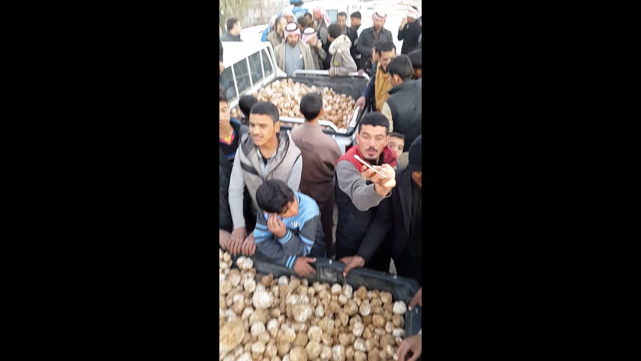 سوق الفقع في النخيب مشاء الله 3