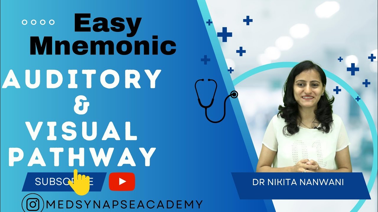 Visual auditory pathway mnemonic | |#neetpg next | fmge