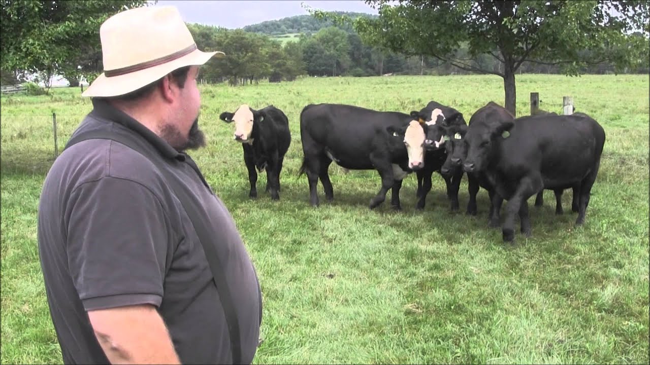A Visit to Sir William Angus Farm