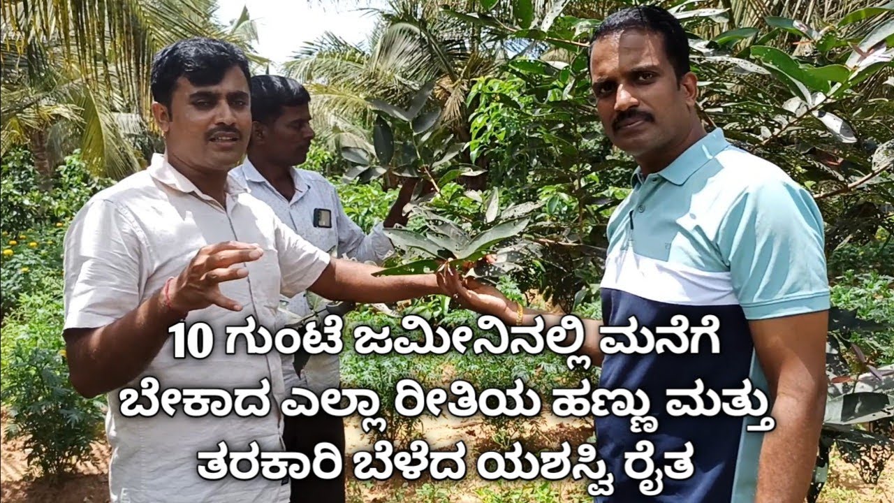 10 ಗುಂಟೆ ಜಮೀನಿನಲ್ಲಿ ಮನೆಗೆ ಬೇಕಾದ ಎಲ್ಲಾ ರೀತಿಯ ಹಣ್ಣು ತರಕಾರಿ ಬೆಳೆಯುವುದು ಹೇಗೆ?|How to grow mix fruits