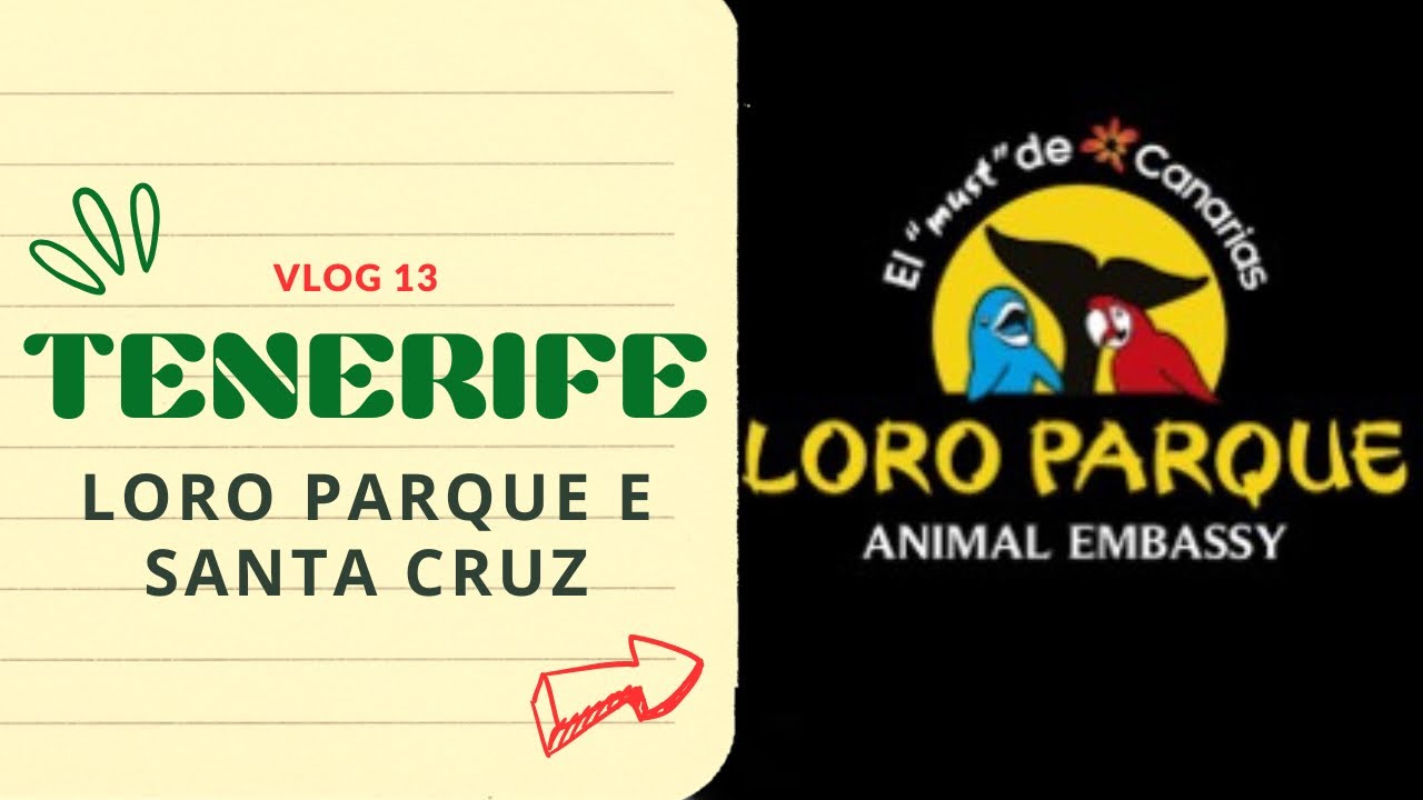 LORO PARQUE e Santa Cruz de Tenerife | ULTIMI GIORNI | VLOG 13
