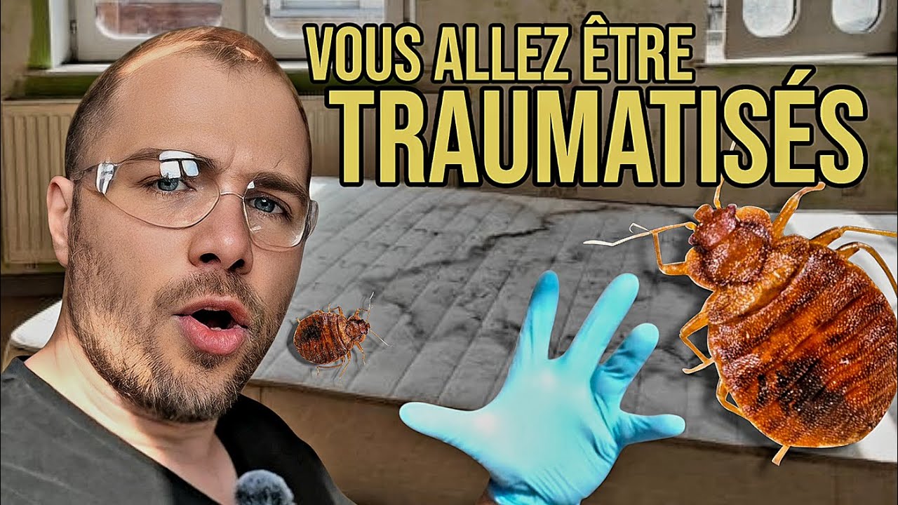 INFESTATION CHOC : Des Centaines de Punaises de Lit Dans Cette Chambre !