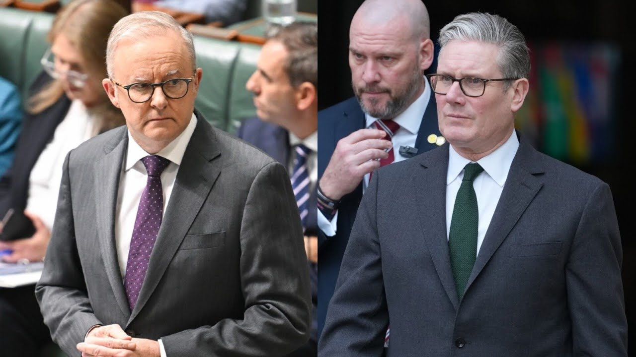 Albanese&rsquo;s &lsquo;radical&rsquo; tax reform partly motivated by UK political turmoil