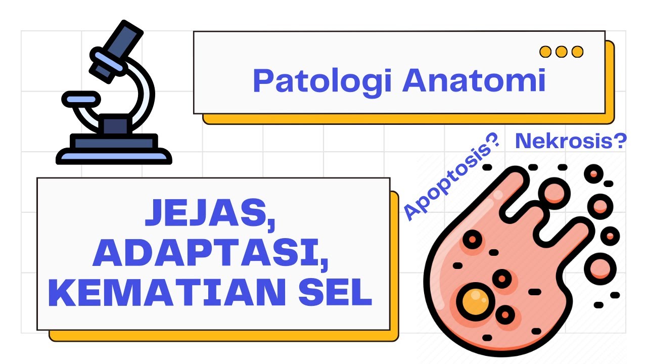 Jejas, Adaptasi, dan Kematian Selular (Nekrosis & Apoptosis) | Patologi Anatomi 101