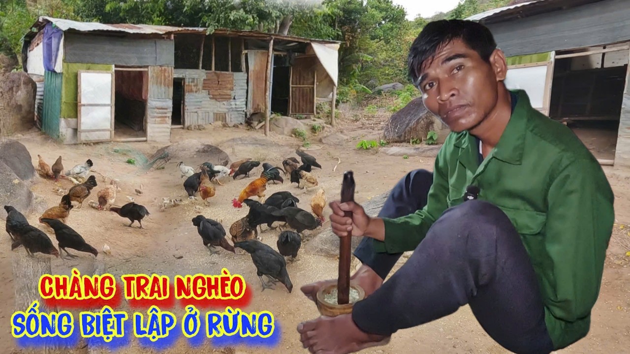 CHÀNG TRAI nghèo sống biệt lập trên núi cao, ĂN NGỦ ở rừng - tập 1671