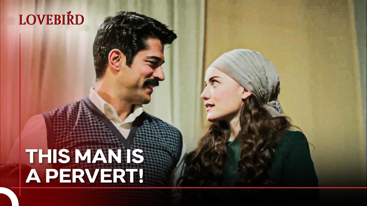 Feride And Kamran Announce That They Are Getting Married - Lovebird