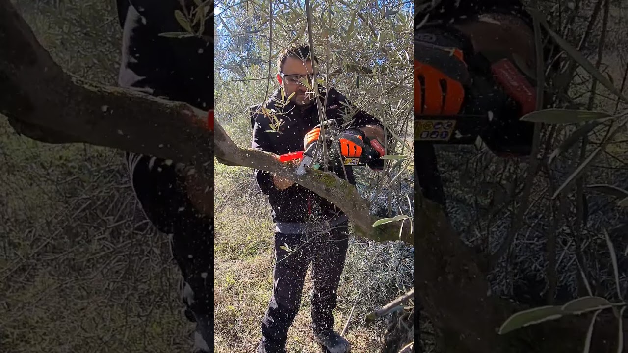 Motosierra de Bateria ZANON ZP100, Podadora Zanon ZP100