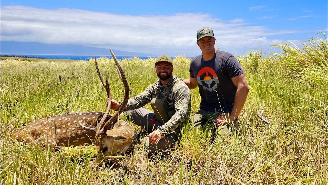 Hunting MASSIVE Axis Bucks on the Hawaiian Islands | Shocking Results!