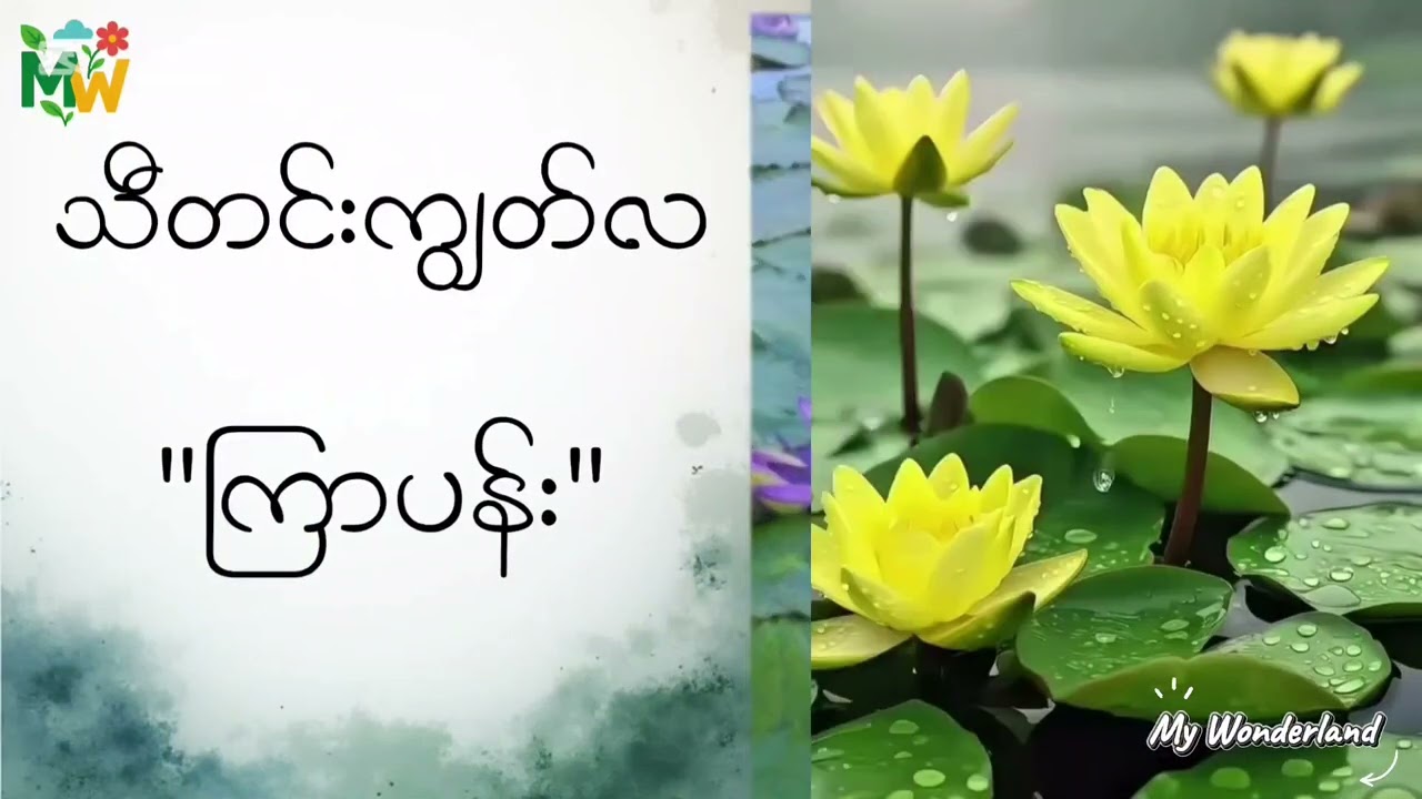 မြန်မာ့ဆယ့်နှစ်လရာသီပန်းများ , 