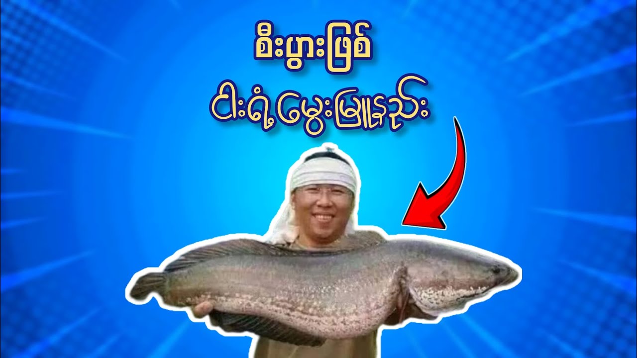 စီးပွားဖြစ်ငါးရံ့မွေးမြူနည်း #စိုက်ပျိုးရေး #မွေးမြူရေး #ငါး