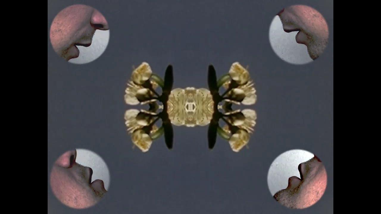 Whoman - Fly Bee Fly (Official Video)