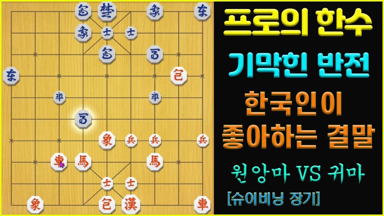 [기막힌 반전] 한국인이 좋아하는 결말!!!                  (슈이비닝 장기)
