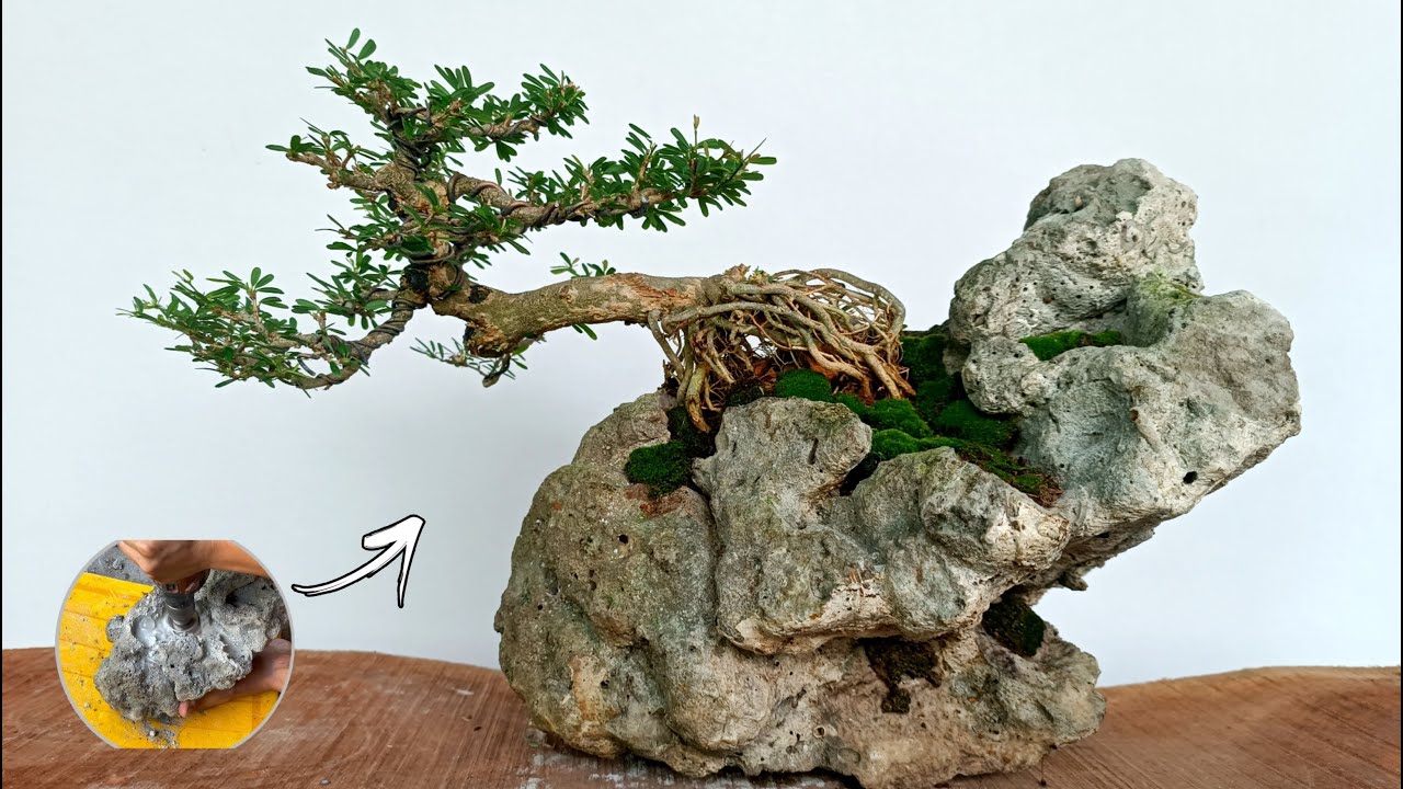 Process Of Making Stone For Bonsai Planting