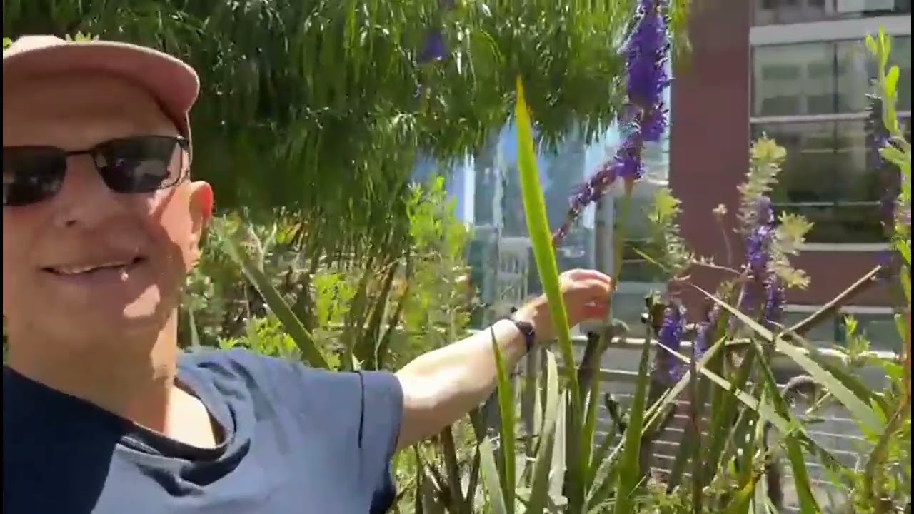 Salesforce Park Felt Like A Hidden Oasis in Downtown San Francisco