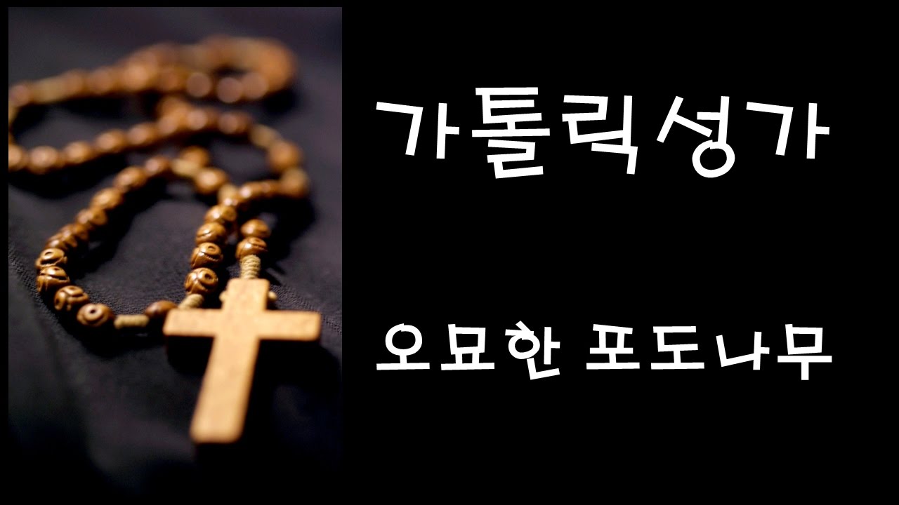 가톨릭 성가 - 오묘한 포도나무 (Korean Catholic Hymns)
