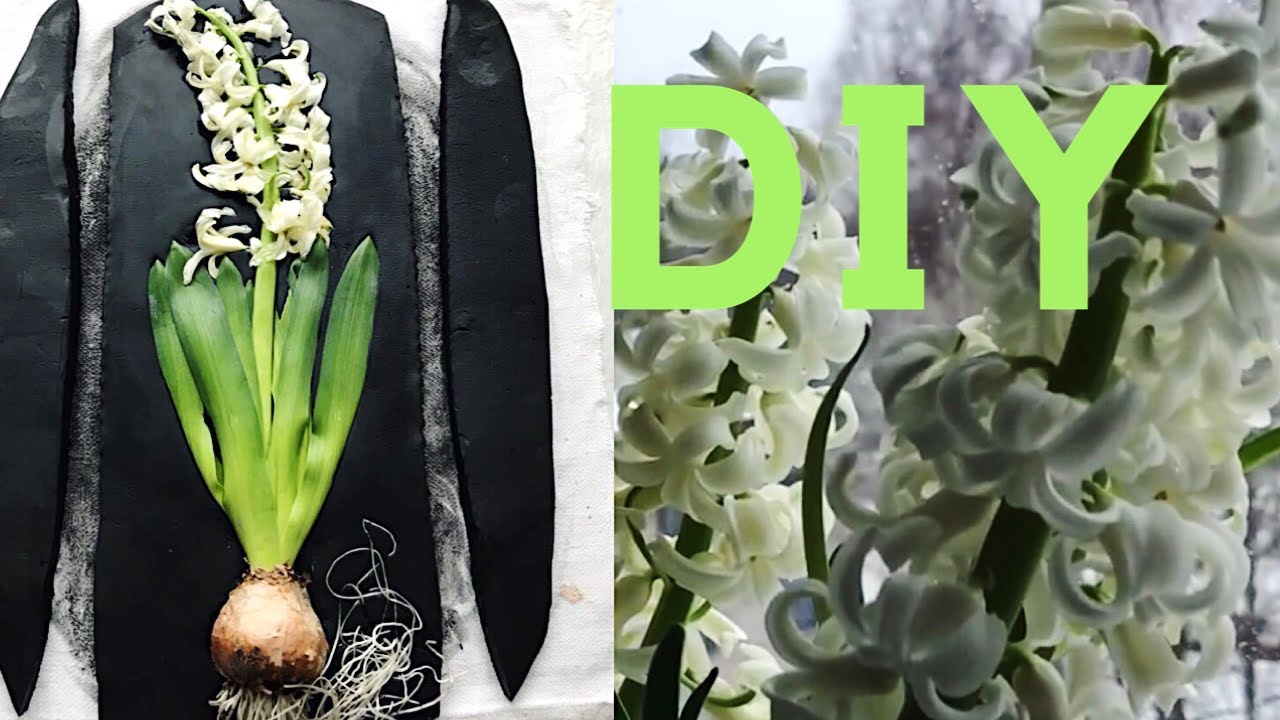 Amazing DIY by KLEVER/ imprints of plants