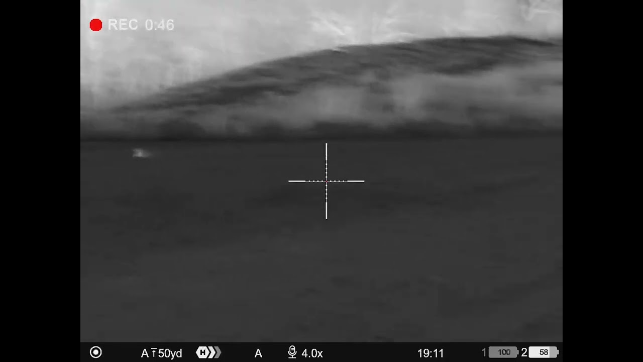 Coyote hunting 