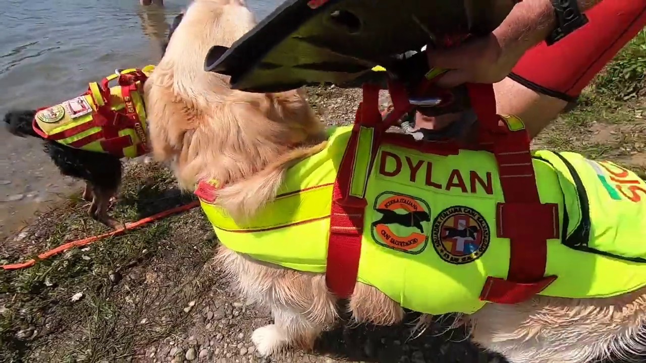 SOS EMERGENZA - SICS Scuola Italiana Cani Salvataggio