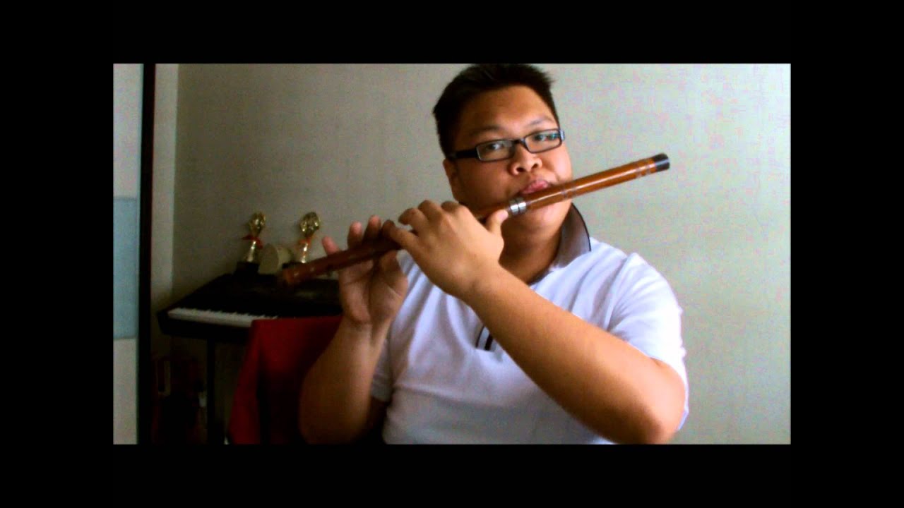 T-ARA Day by Day [Flute Cover]