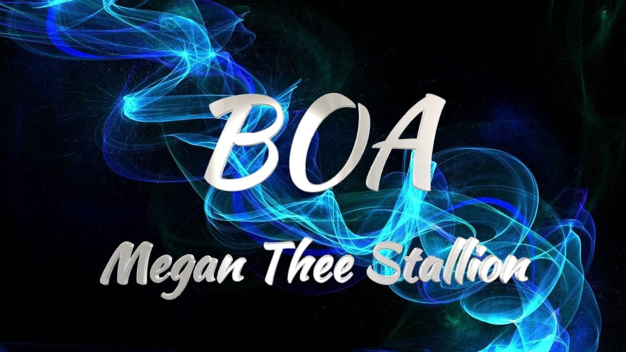Megan Thee Stallion - BOA  (KARAOKE VERSION)