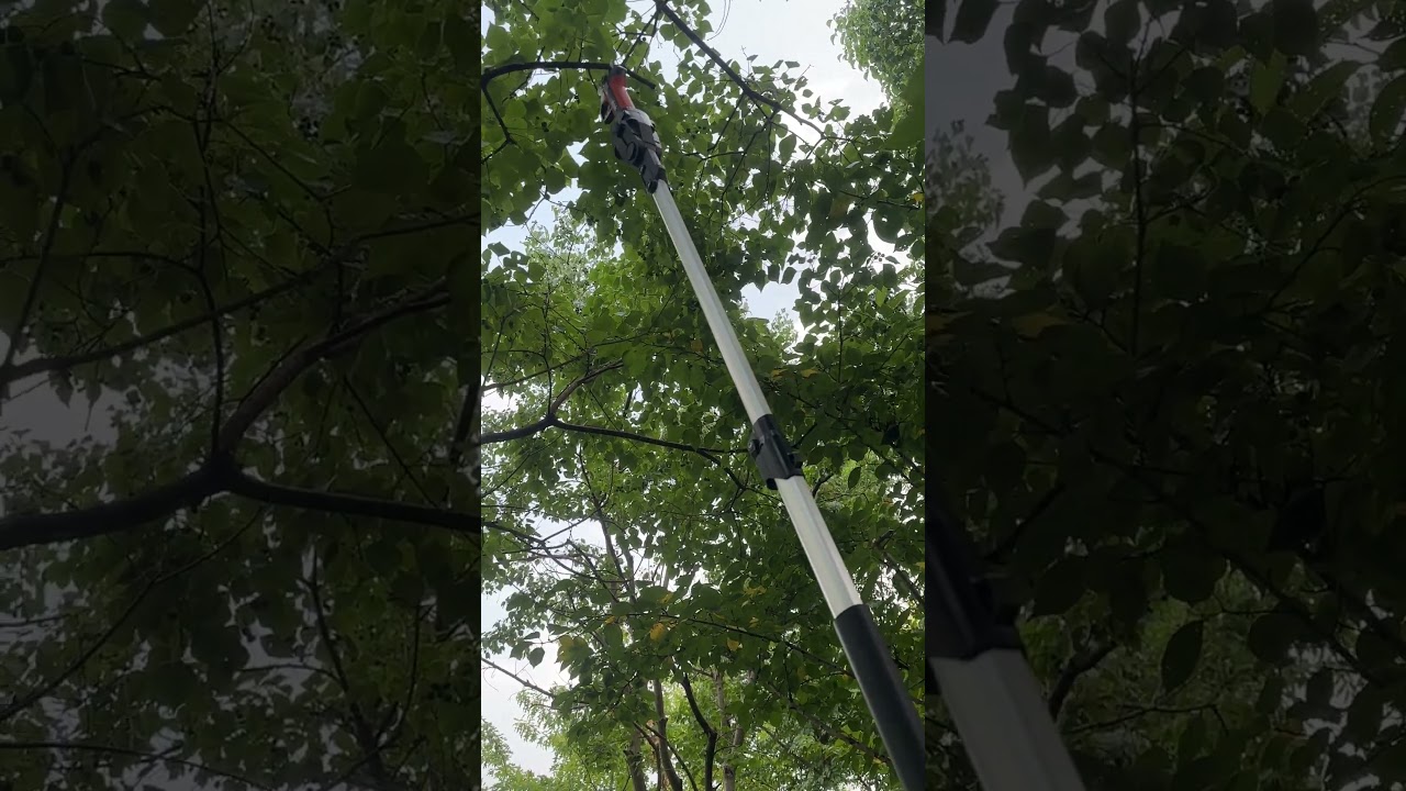 Upgrade your gardening game!  #prune #gardeningtools #tools #pruning #pruning