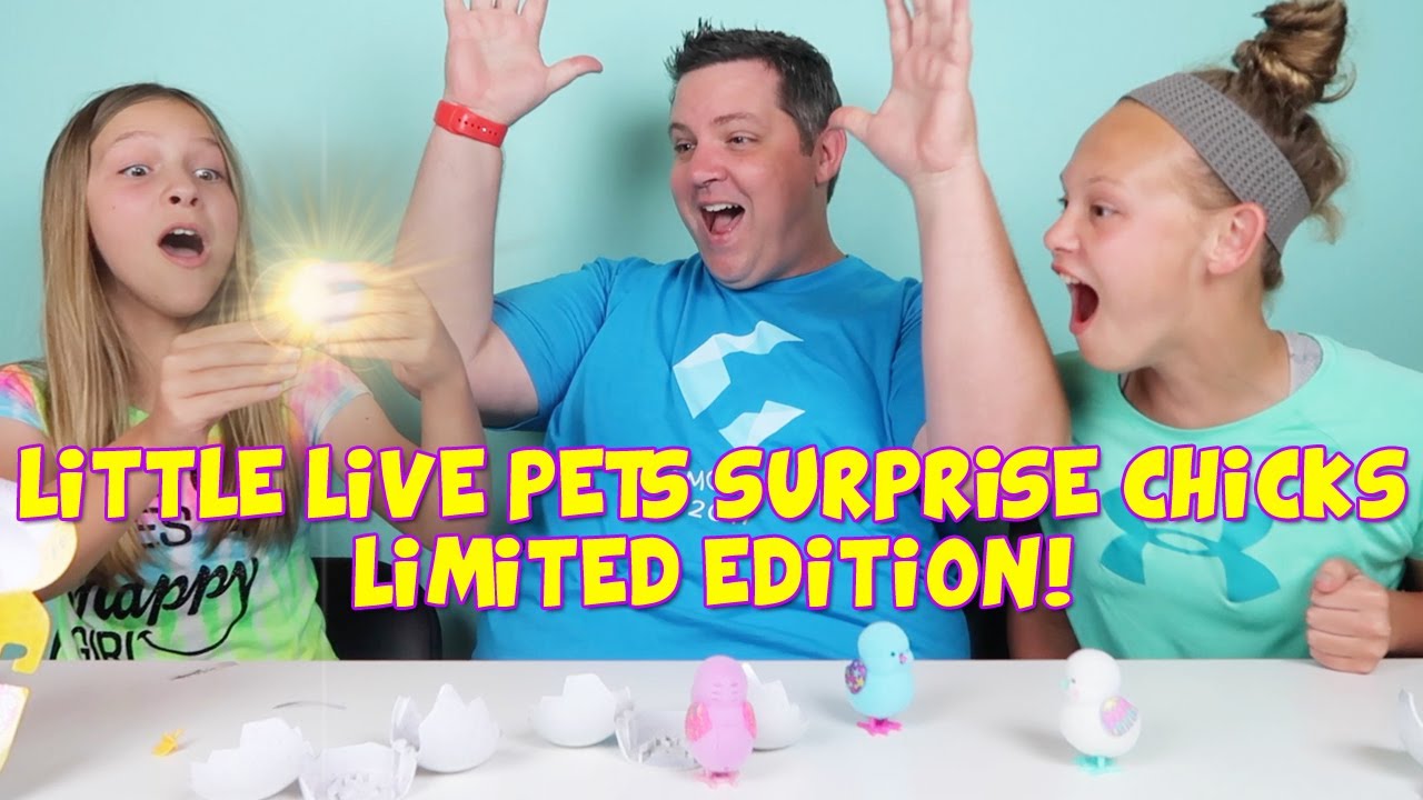 LIMITED EDITION LITTLE LIVE PETS SURPRISE CHICKS! We Got A Limited Edition!