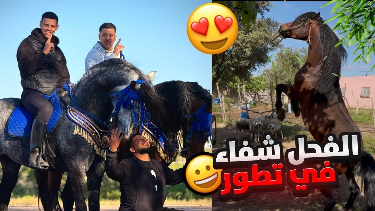 الفحل شفاء في تطور 😱غادي تعيشو معاية الأجواء