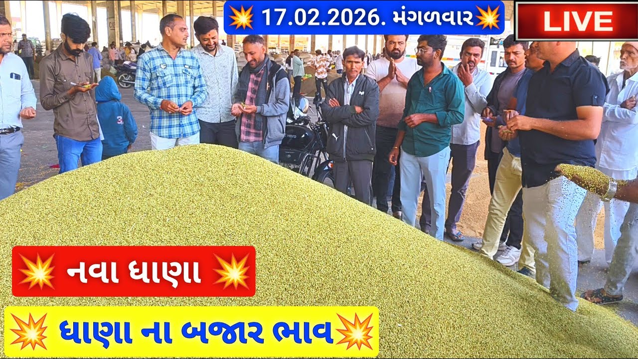 🔴 LIVE નવા ધાણા ના બજાર ભાવ આજના જસદણ માર્કેટિંગ યાર્ડ,February 17, 2026