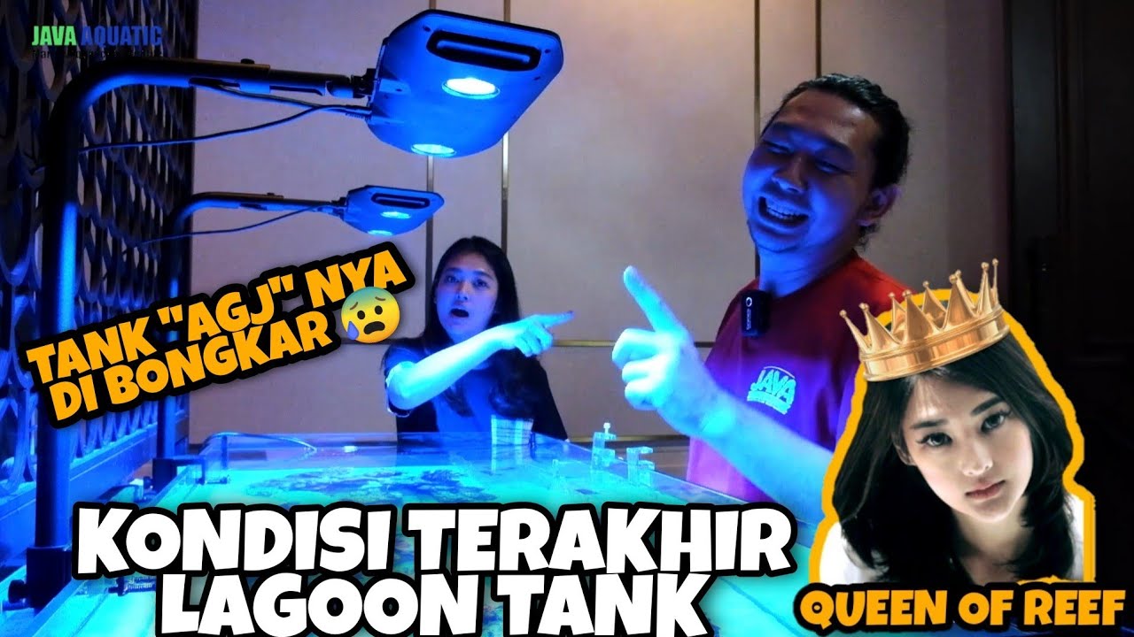 KONDISI TERAKHIR LAGOON TANK DAN AGJ 